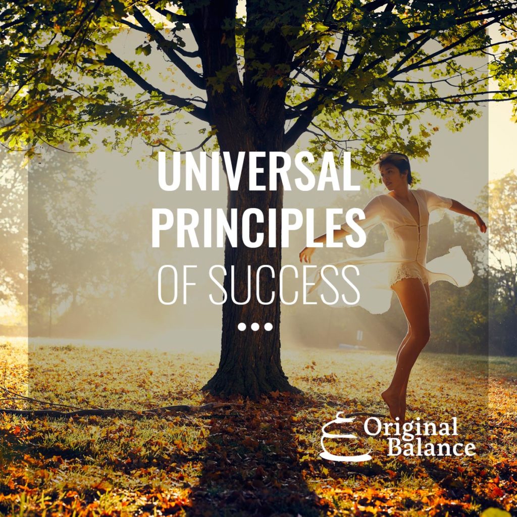 universal-principle-of-success